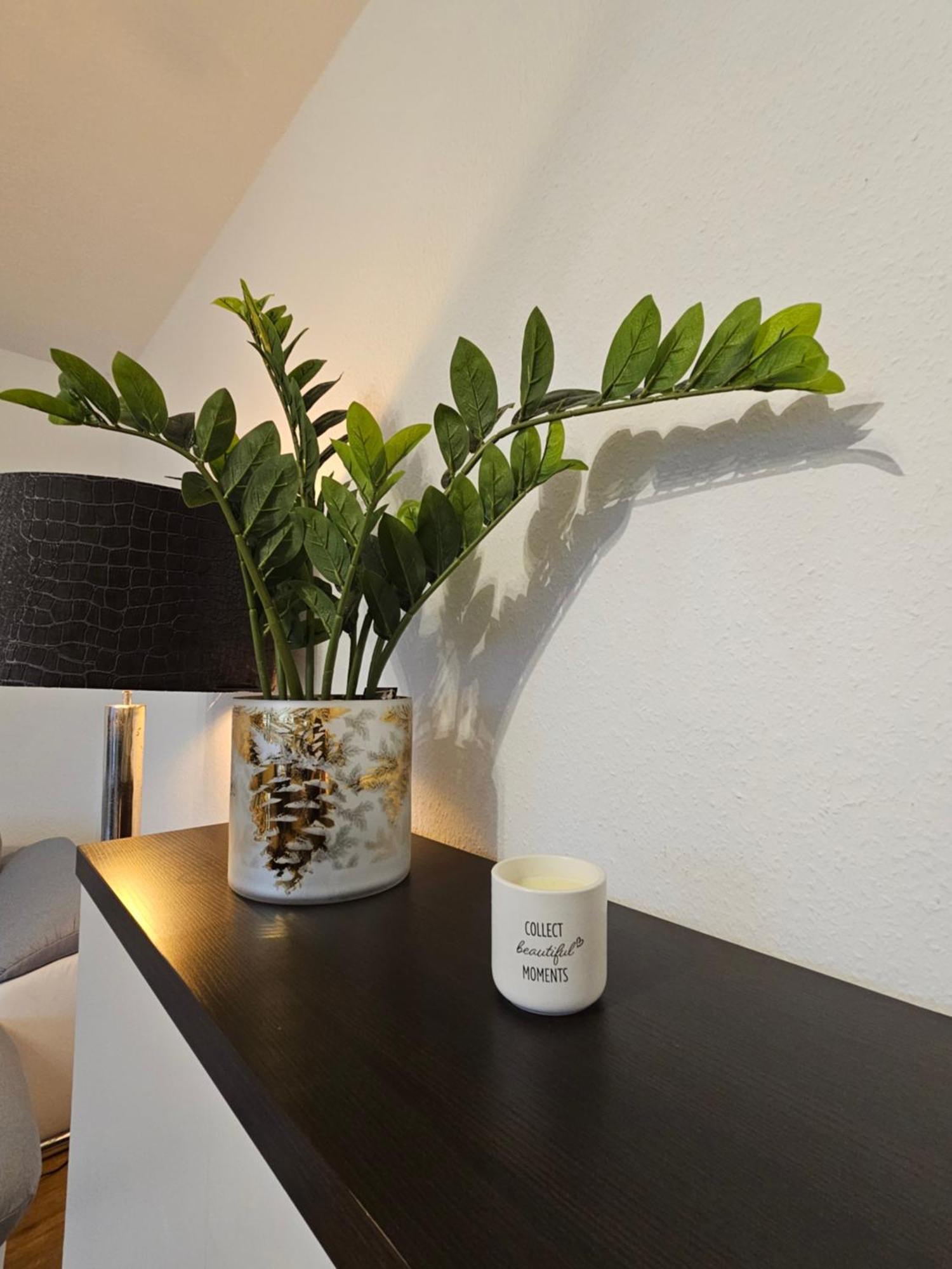 Ecocube Apartment2 Meppen14, Balkon, Kueche, Waschmaschine Pokoj fotografie